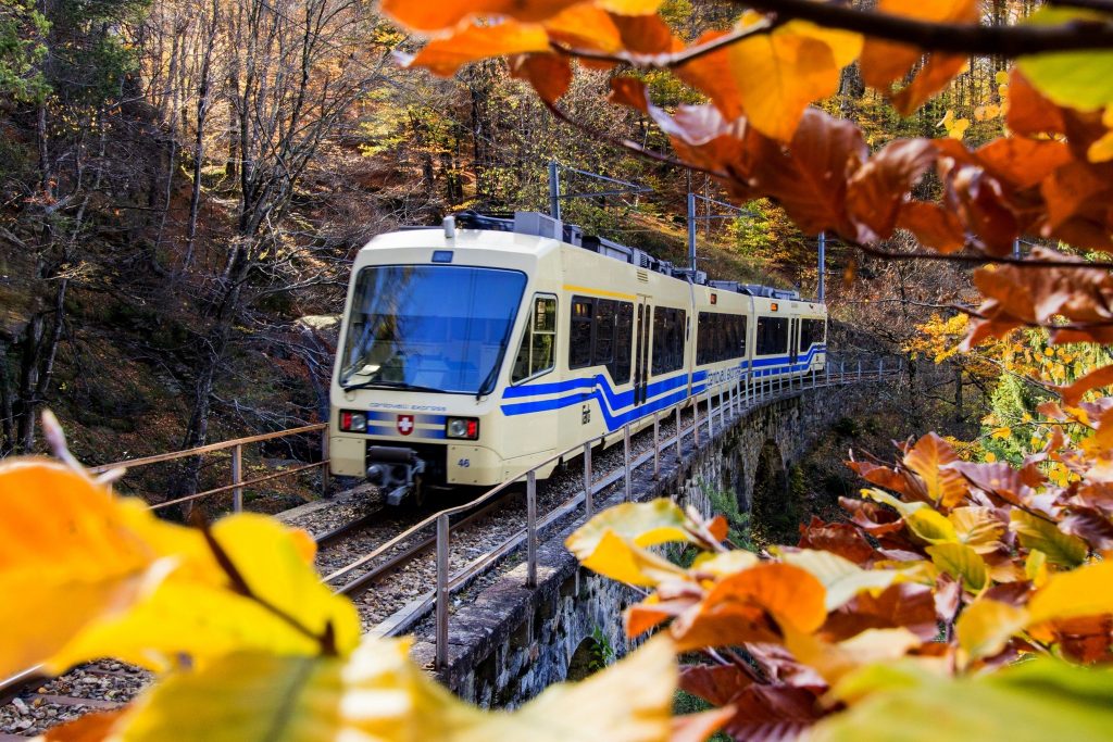 Treni foliage