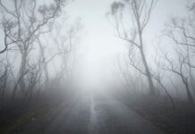 L’affascinante incertezza della nebbia nebbia