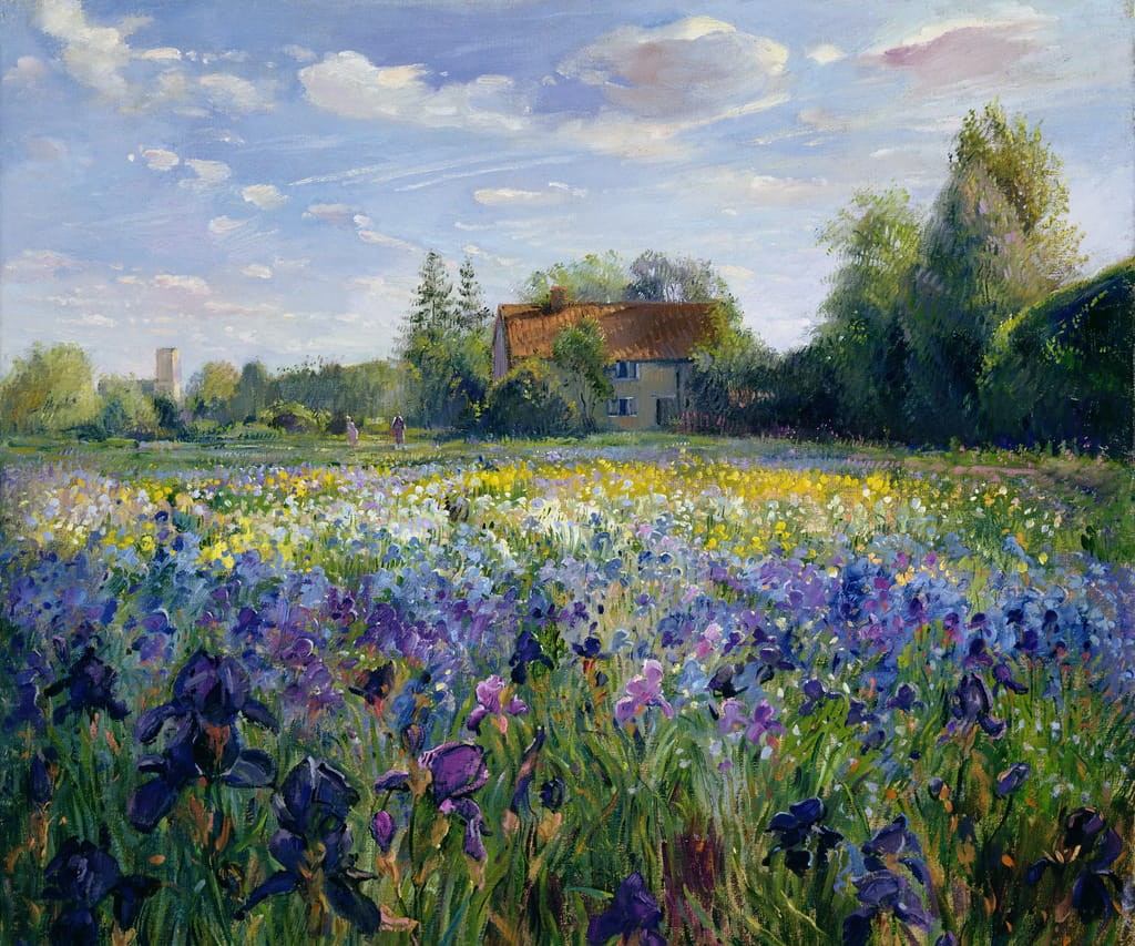 Timothy Easton - Evening at the Iris Field - (MeisterDrucke-222170)