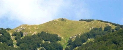 Borgotaro