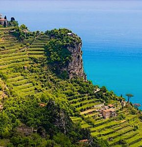amalfi lemon experience