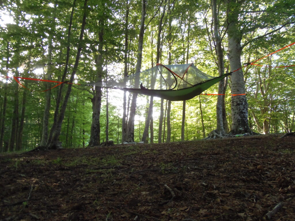 Parco cinque sensi Vitorchiano