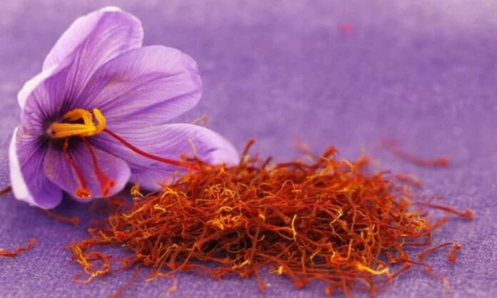 zafferano di Navelli