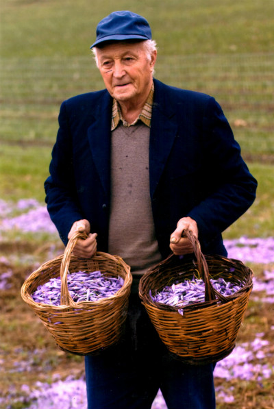 zafferano di Navelli